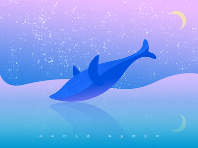 the whale design illustration