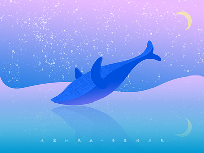 the whale