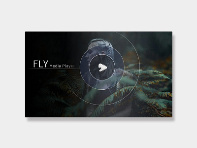 Fly Media Player