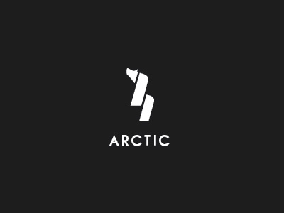 Arctic Logo branding design graphicdesign icon illustration logo print vector