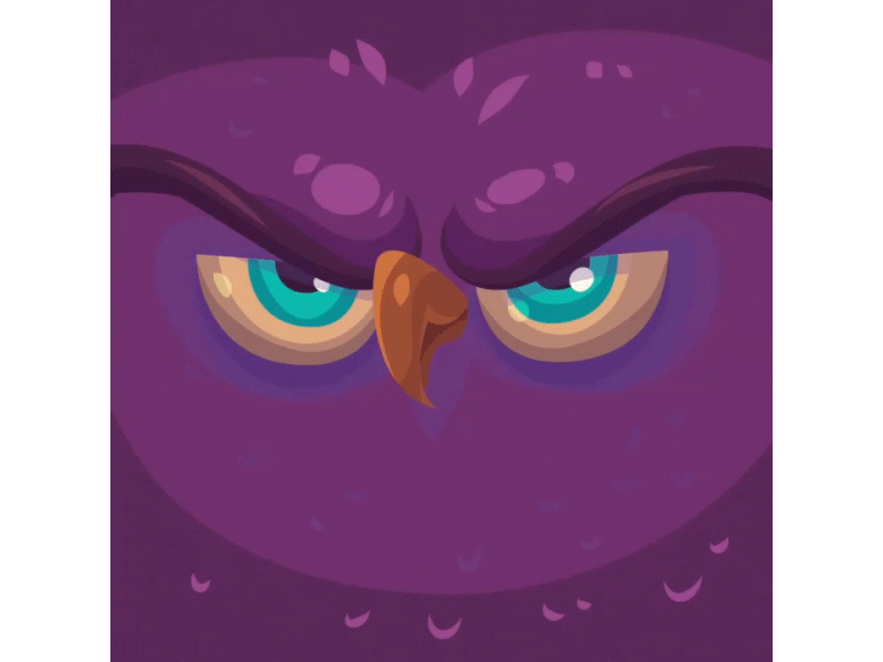 Hawk Face animation bird character eyes face gif hawk