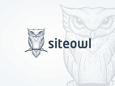 Siteowl logo concept..
