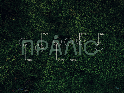Pralis Resort | Logotype details branding carpathian region forest graphic design logo moss nature ukraine