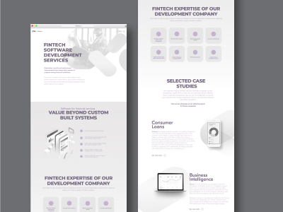 Landing page for Financial Software Development Services ux wireframe