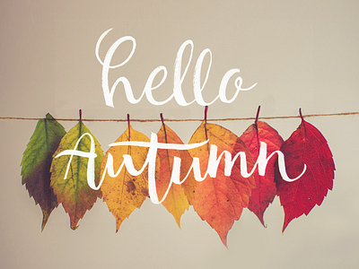 Hello Autumn