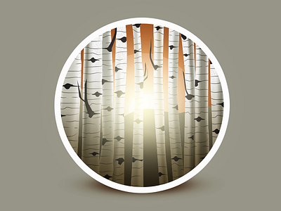 Birch trees badge birch illustration landscape sunrays sunset tree vector winter