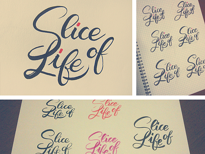 Slice of Life calligraphy handmade illustration ink lettering penbrush sketchbook slice of life typo