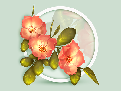 Wild Rose digital concept digital illustration digital paint flowers green rose spring wild rose