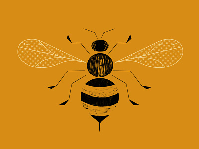 Honey Bee animal illustration bee conservation design digital digitalart graphicdesign hive honeybee illustration logo savethebees