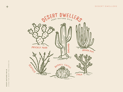 Desert Dwellers botanical cacti cactus cholla desert design illustration nature organ pipe outdoors plants prickly pear procreate saguaro wild