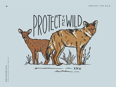 Protect the Wild animal animals blue brown deer design illustration nature nurture nature outdoors outside procreate protect wild wildlife wolf