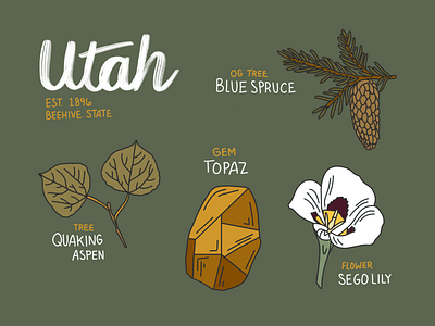 Nature of Utah design hand illustration handletter illustration nature nature illustration procreate utah