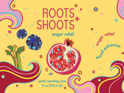 Roots+Shoots branding color colorblocking illustration juice packaging pattern