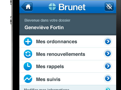 Brunet Mobile design iphone menu mobile ui website