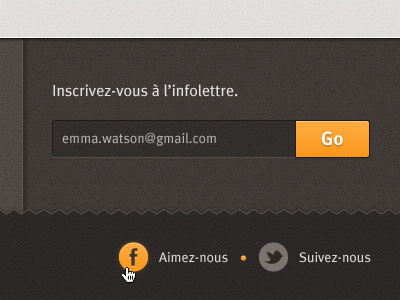 Optiforme blanko brown bullet button design emma watson facebook icons input newsletter optiforme orange signup social texture twitter ui ux web webdesign