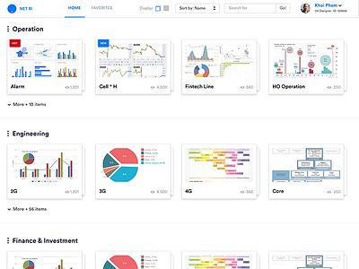 Net BI - Chart and Analytics Management