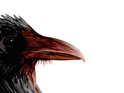 Crow digital painting illustration