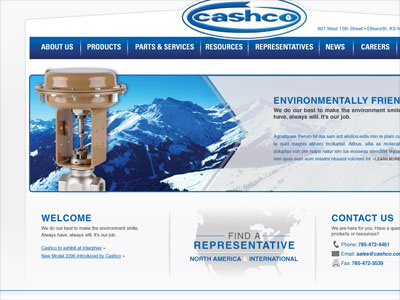 Cashco Web design web