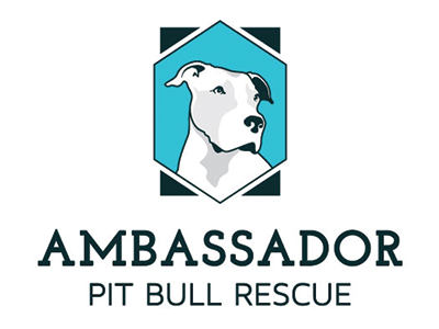 Ambassador Pit Bull Rescue animal rescue branding dog logo pit bull