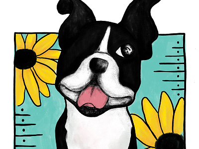 Daisy Maisy boston terrier daisy dog illustration painting