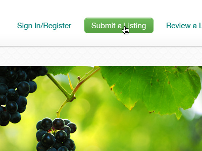 Navigation button grapes navigation submit