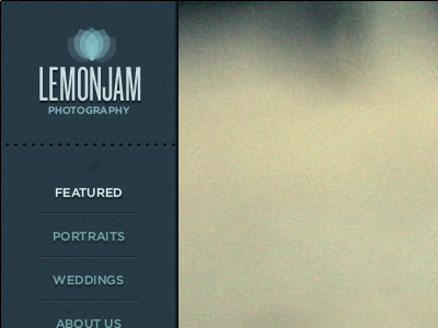 2nd Direction for the Lemonjam site lemonjam navigation photography portfolio texture web web design
