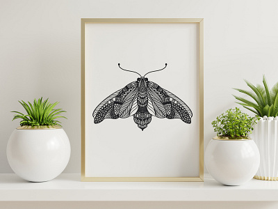 Bug Illustration - Moth blackandwhite graphic design hand skills illustration moth