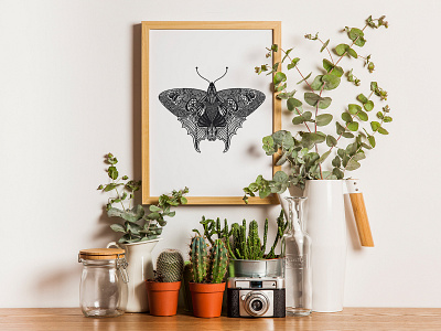 Bug Illustration - Moth blackandwhite graphic design hand skills illustration moth