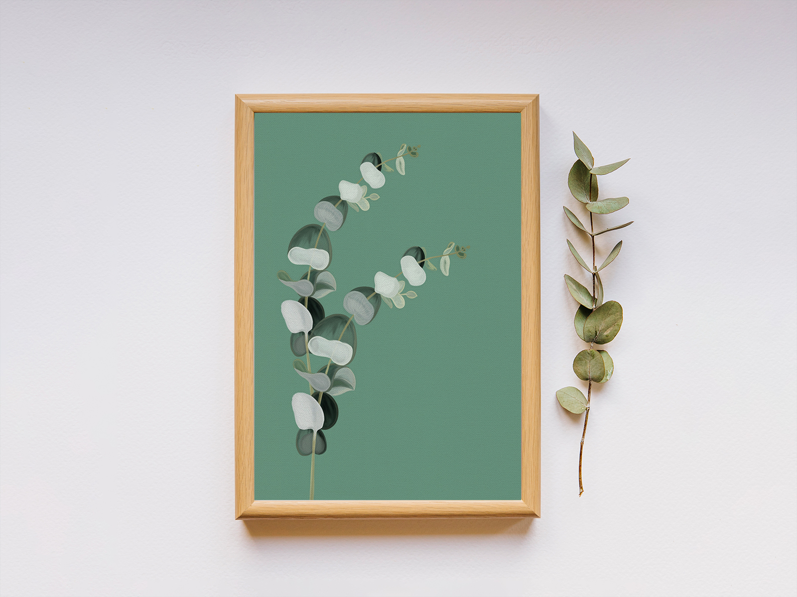 Nature Illustration - Eucalyptus by Harshita on Dribbble