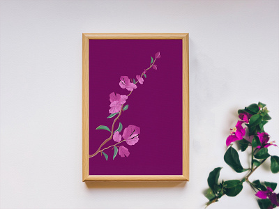 Nature Illustration - bougainvillea bougainvillea digital art flower graphic design hand skills illustration nature art