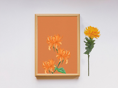 Nature Illustration - chrysanthemum chrysanthemum design graphic design hand skills illustration nature art