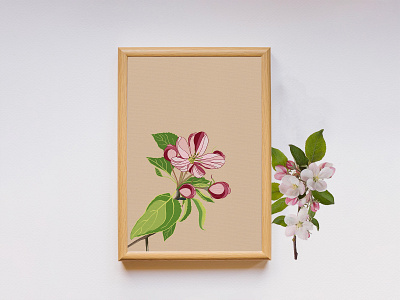 Nature Illustration - Apple Flower Blossom