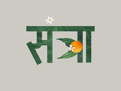 Orange branding design flat icon illustration logo minimal orange