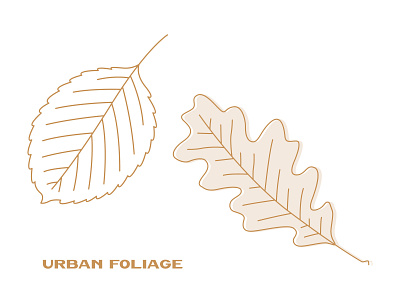 Urban Foliage Illustration set clipart design illustration illustrations nature urban vector
