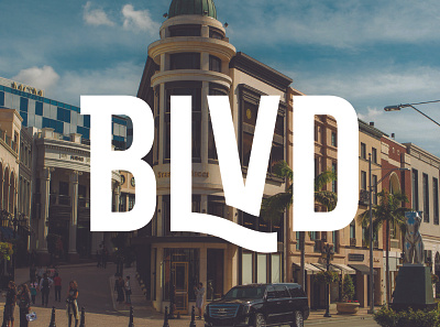BLVD Real Estate Investment Co. - Logo Wordmark branding design identity lettering logo typedesign wordmark