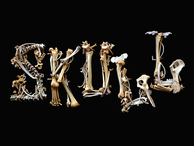 SKULL FONT ☠ bones font lettering tipography