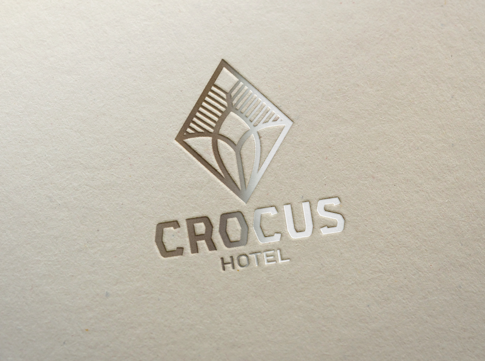 Crocus by Oleksandr on Dribbble