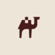 Camel Design