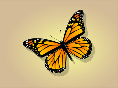 Butterfly. Vector illustration butterfly cute design illustration insect vector