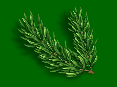 Christmas tree branch. Adobe Illustrator Tutorial. branch christmas christmas tree design green illustration new year realistic vector