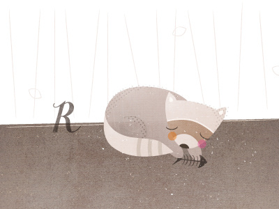 R is for raccoon