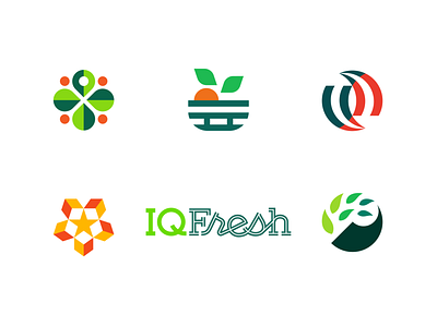 IQFresh Identity Presentation arrows box brand branding color fruit icon leaf logo logotype palette plant produce road typography wordmark