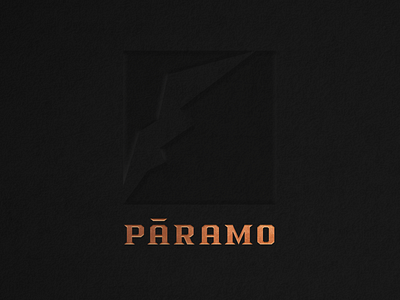 Logo_ Páramo brand branding coffee handmadetype icon logodesign logotype typeface