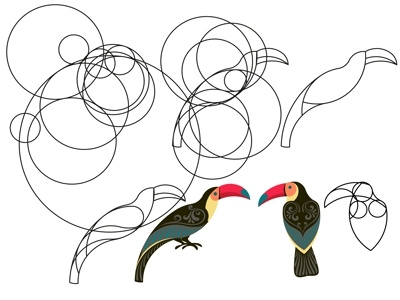 Sketches of toucans.