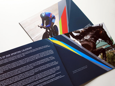 Annual Report annual report brochure design print