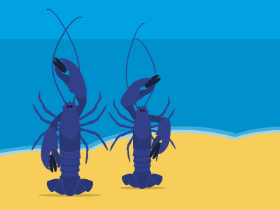 Festival by the Sea illustration lobster