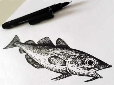 Cod illustration draw drawing fish fishy illustration illustrator ink line pen