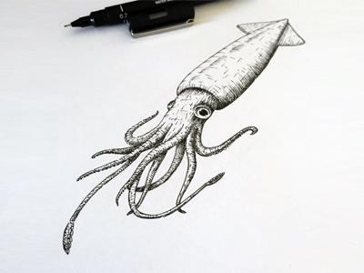 Squid draw drawing illustration ink line pen squid