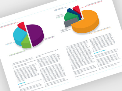 Annual Report & Accounts annual report accounts double page spread pie charts print
