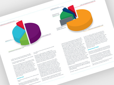 Annual Report & Accounts